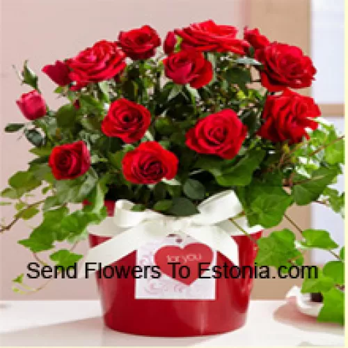 Um belo arranjo de 19 rosas vermelhas com complementos sazonais