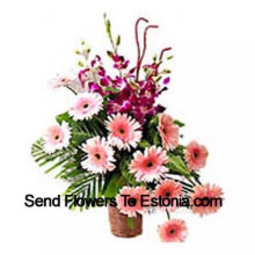 Sensational Gerberas with Orchids