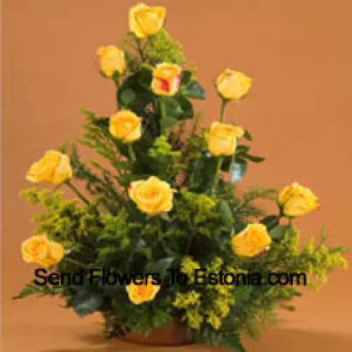 11朵黄玫瑰花篮，带有填充物