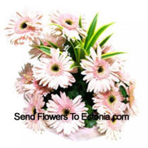 15 Pink Gerberas Basket