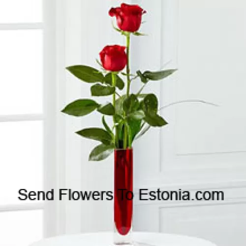 赤い試験管の中の2本の赤いバラ（在庫がない場合は花瓶を代替する権利を留保します。在庫は限られています）