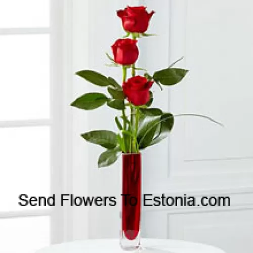Drie rode rozen in een rode reageerbuisvaas (We behouden het recht om de vaas te vervangen in geval van niet-beschikbaarheid. Beperkte voorraad)